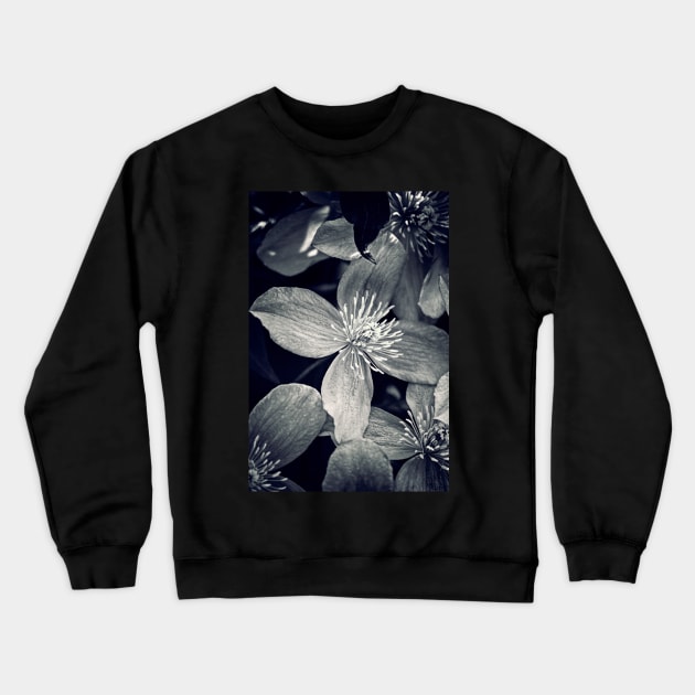 Clematis in Monochrome Crewneck Sweatshirt by InspiraImage